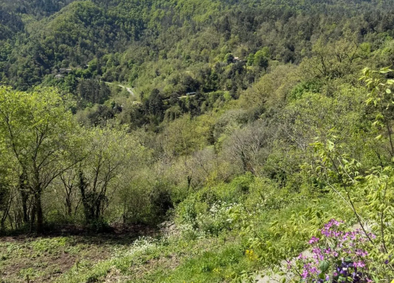 Cave Vouter Apartment Saint-Michel-de-Chabrillanoux