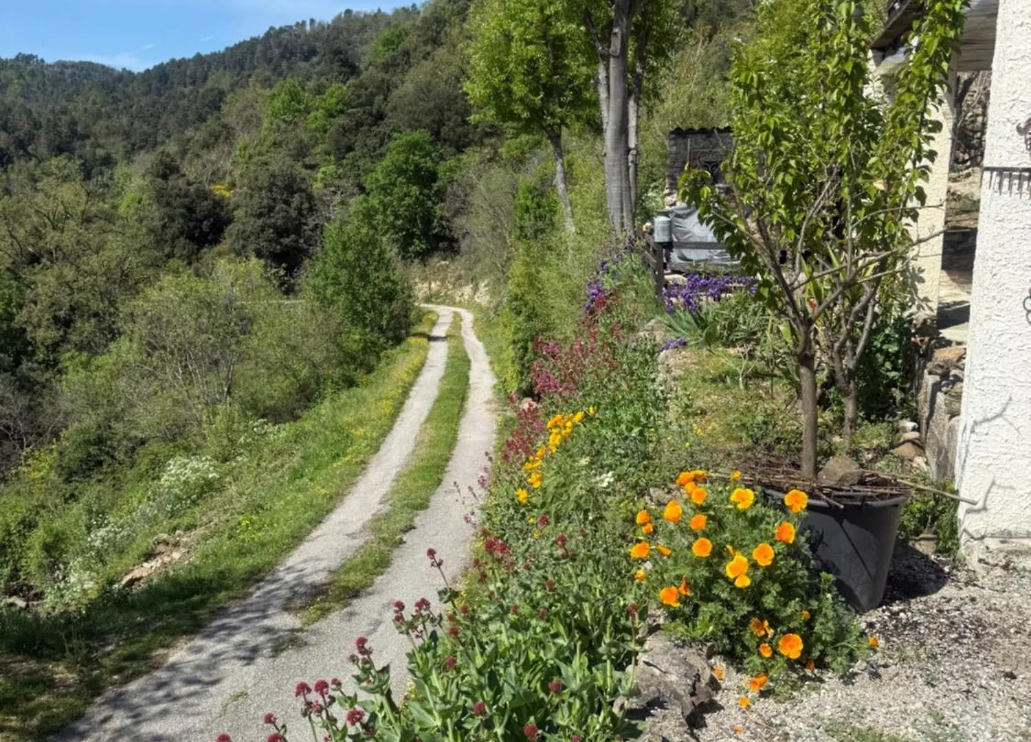 Cave Vouter Apartment Saint-Michel-de-Chabrillanoux